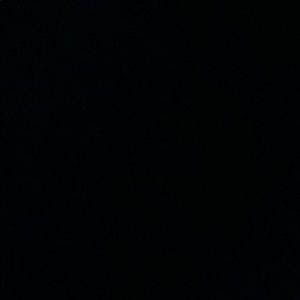 Meet your Posher, Dina